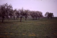 alte Zeiten » 1980-1999